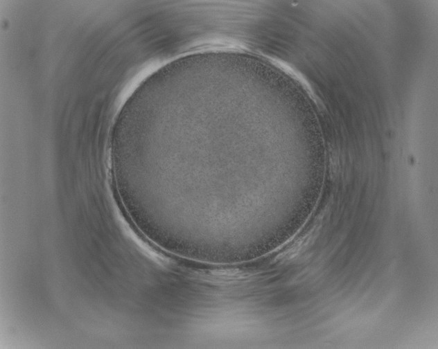 X0000074041383200609111728