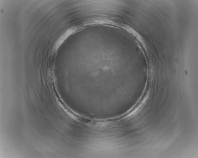 X0000074041385200609111728