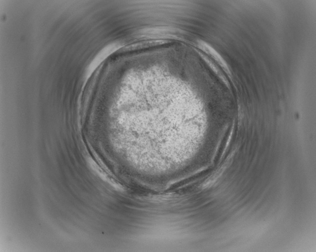 X0000074041386200609111728