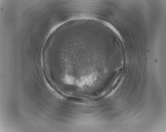 X0000074041388200609111728