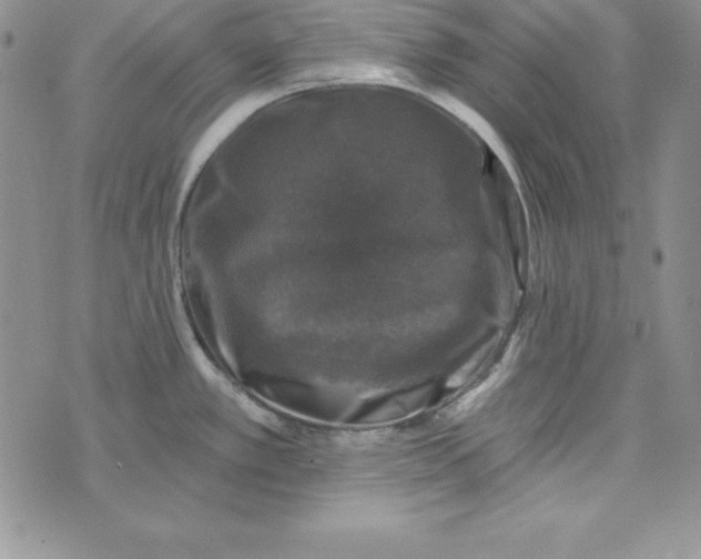 X0000074041389200609111728