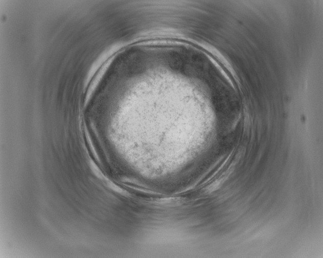 X0000074041390200609111728