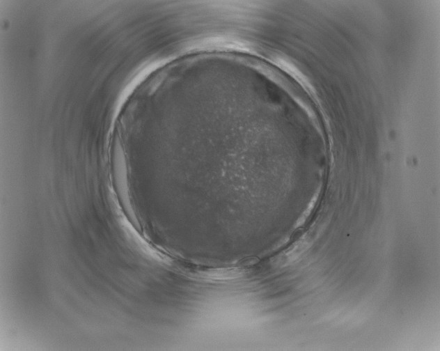 X0000074041392200609111728