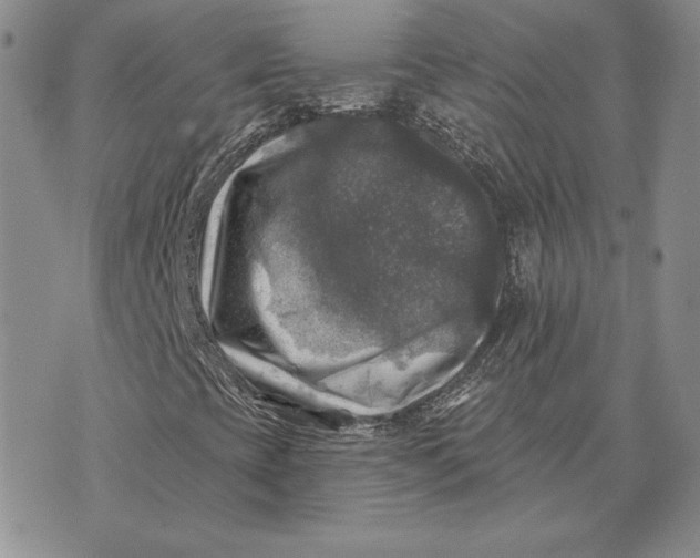 X0000074041393200609111727