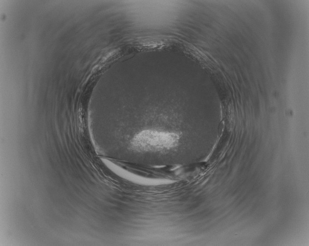 X0000074041394200609111727