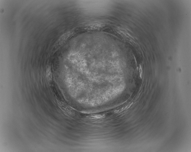 X0000074041395200609111727