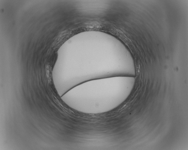 X0000074041396200609111727