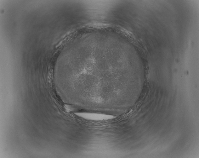 X0000074041397200609111727