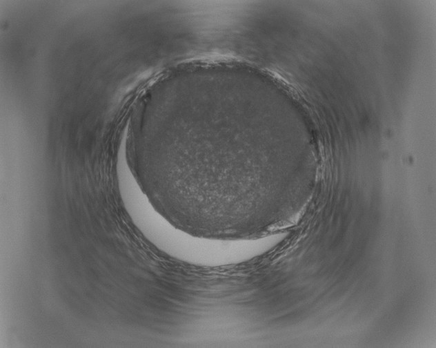 X0000074041398200609111727