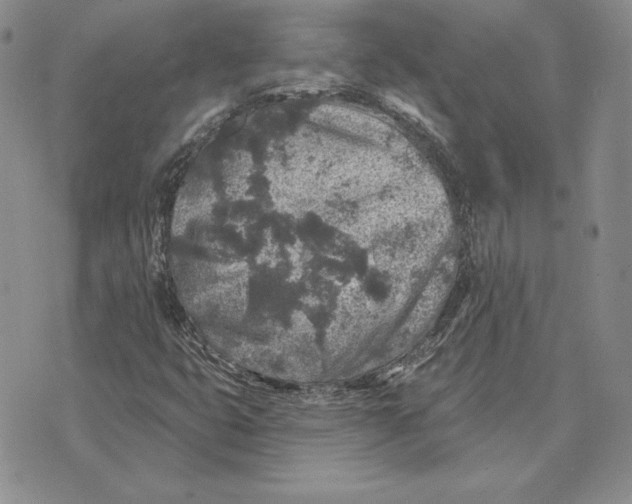 X0000074041399200609111727