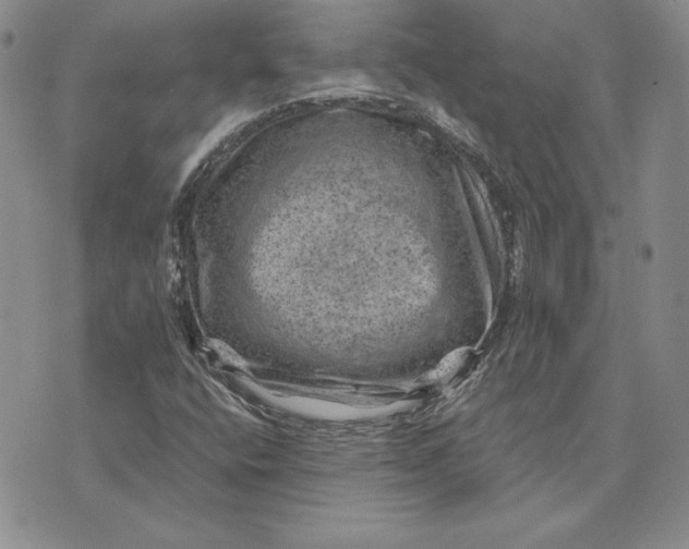 X0000074041400200609111727