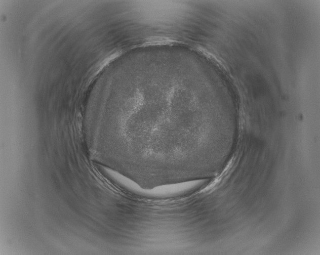 X0000074041401200609111727