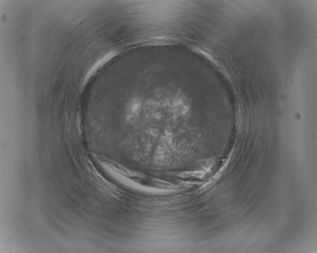 X0000074041402200609111727