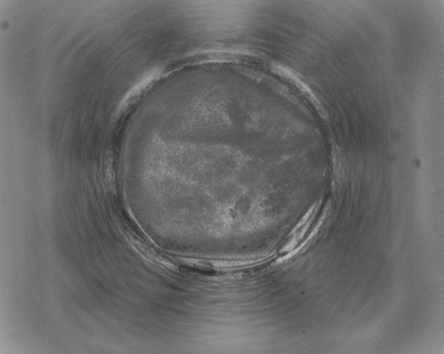 X0000074041403200609111727