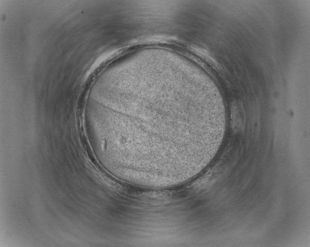 X0000074041404200609111727