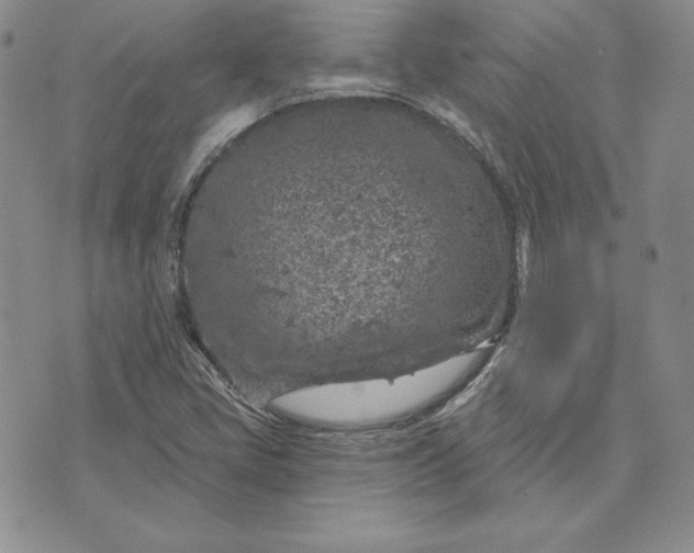 X0000074041405200609111727