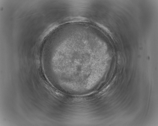 X0000074041407200609111727