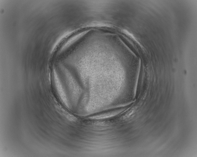 X0000074041408200609111727