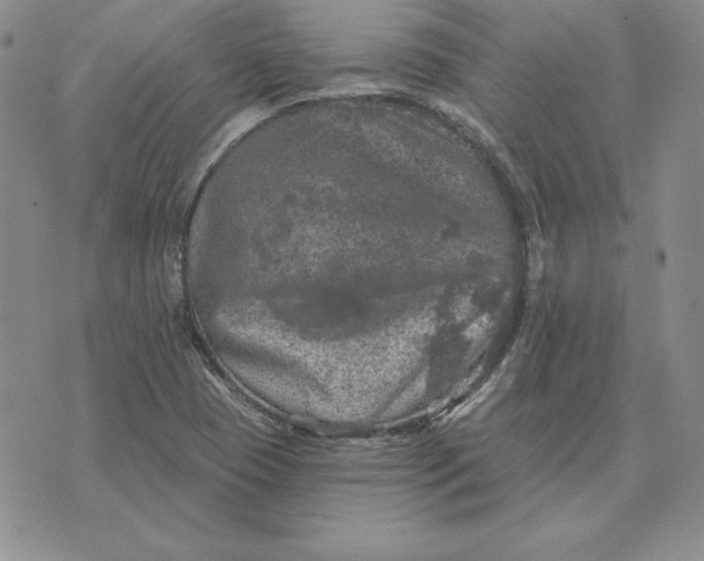 X0000074041409200609111727