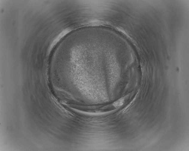 X0000074041410200609111727