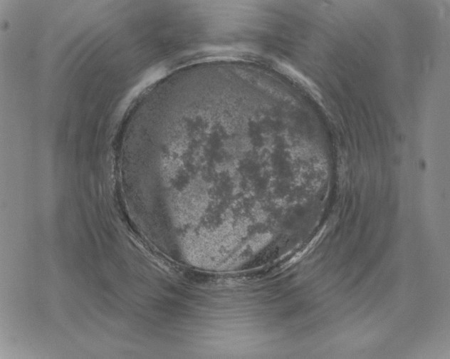 X0000074041411200609111727