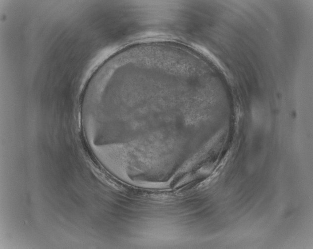 X0000074041413200609111727