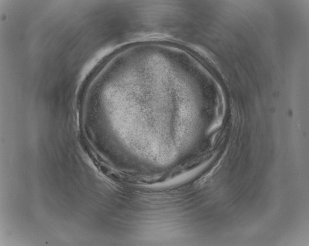 X0000074041414200609111727