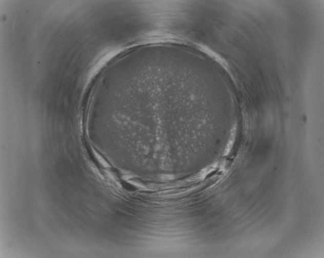 X0000074041415200609111728