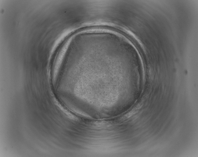 X0000074041416200609111728