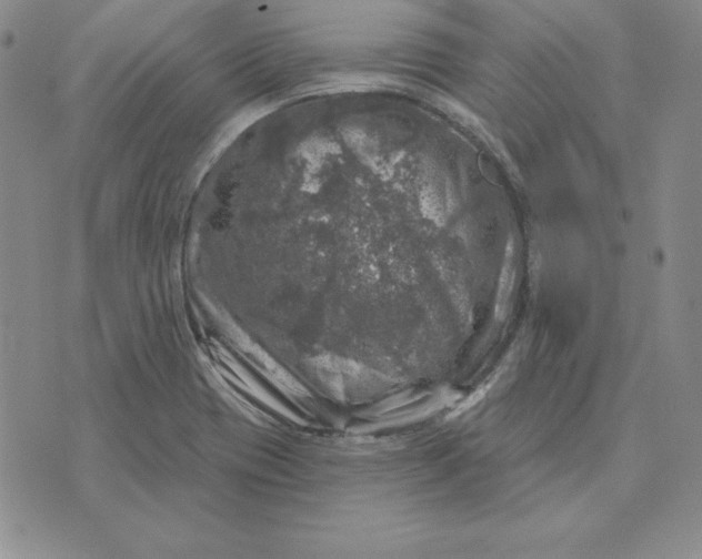 X0000074041417200609111728