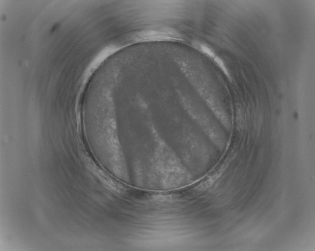 X0000074041419200609111728