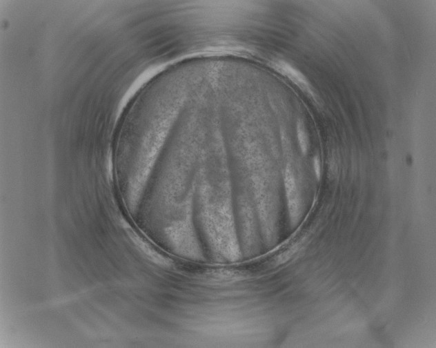 X0000074041420200609111728