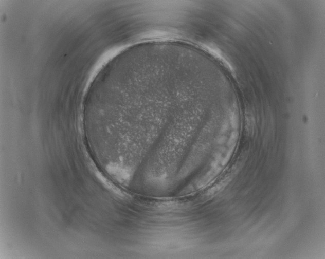 X0000074041421200609111728