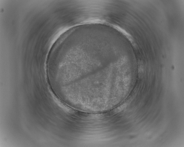 X0000074041423200609111728