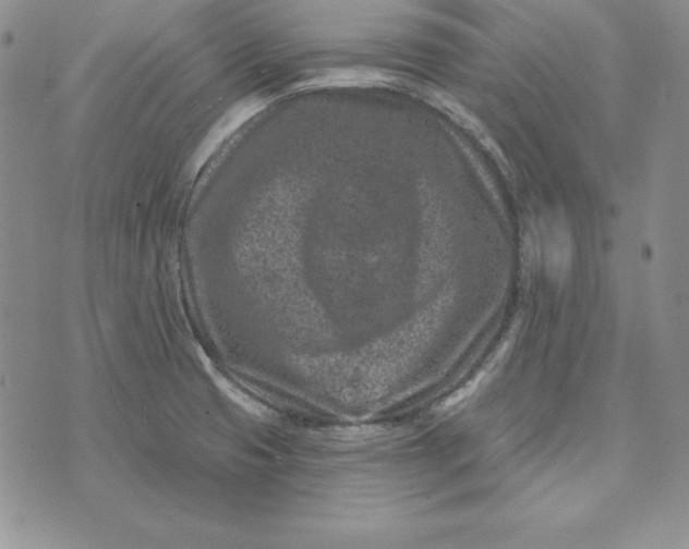 X0000074041425200609111728