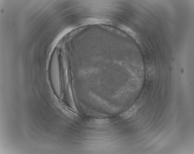 X0000074041427200609111728