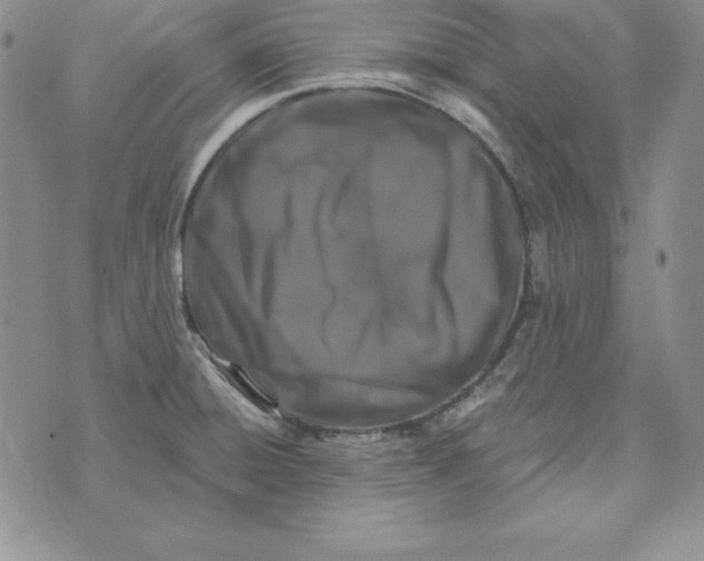 X0000074041428200609111728