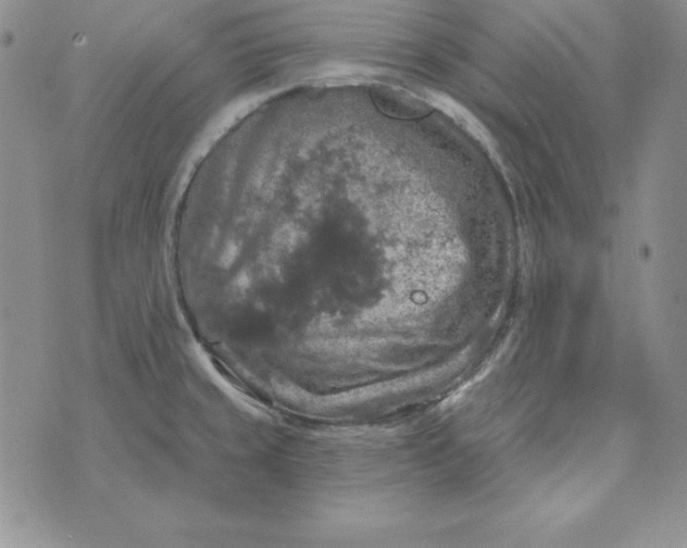 X0000074041429200609111728