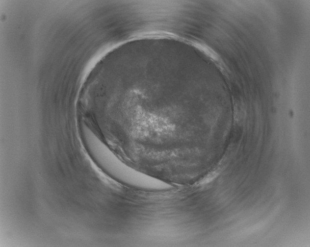 X0000074041430200609111728