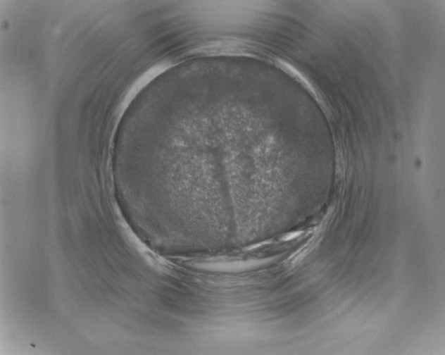 X0000074041434200609111728