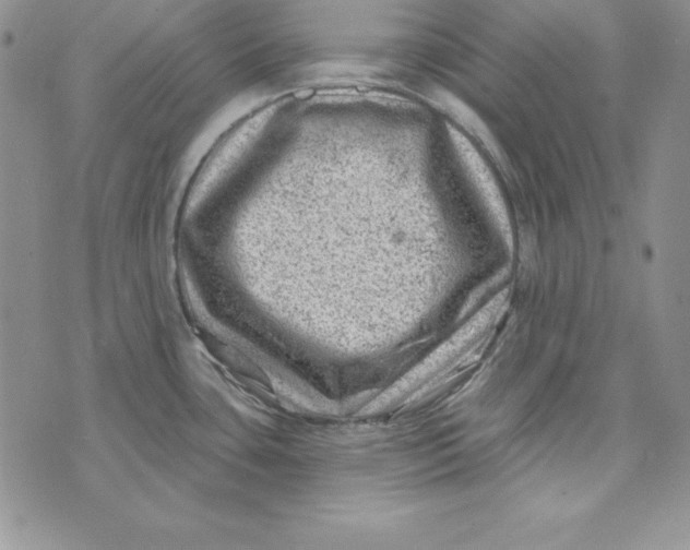 X0000074041435200609111728