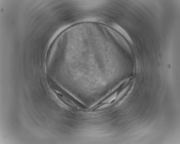 X0000074041436200609111728