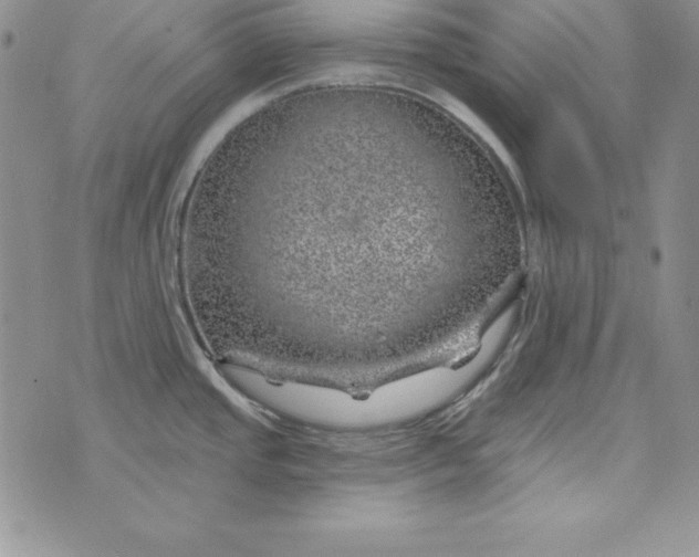 X0000074041437200609111728