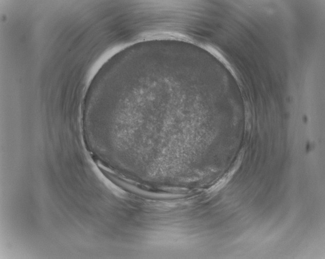 X0000074041438200609111728