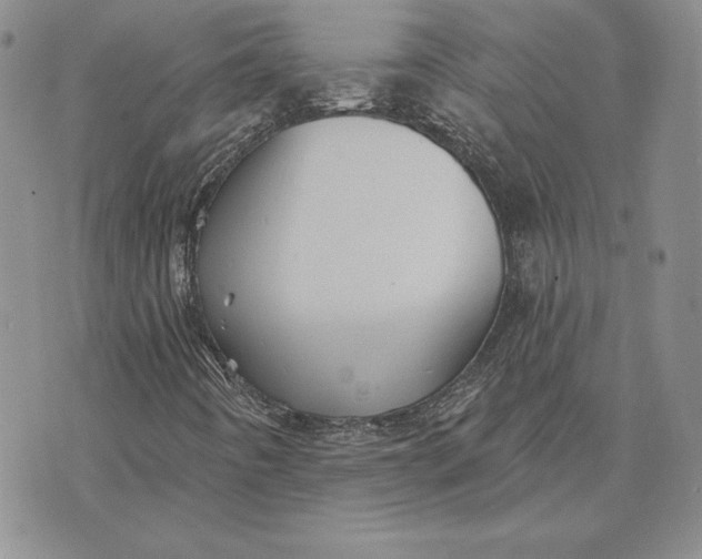 X0000074041442200609111727