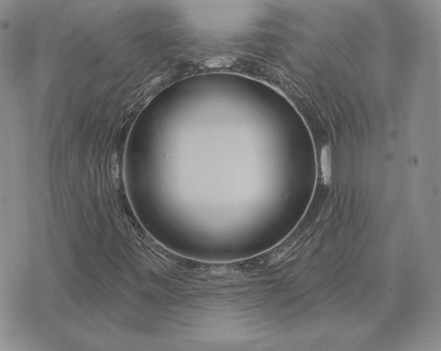 X0000074041443200609111727