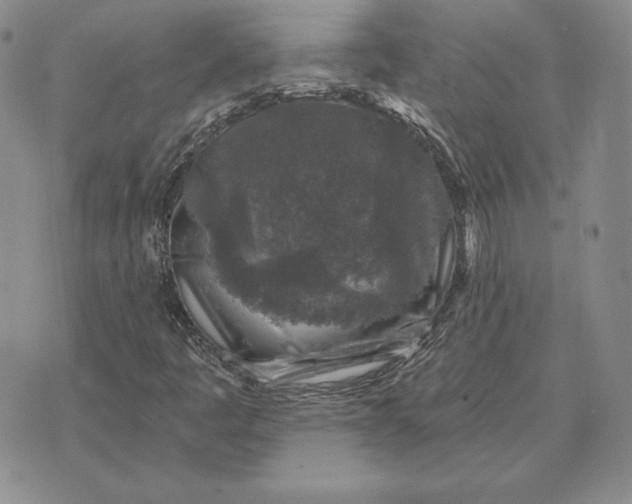 X0000074041445200609111727