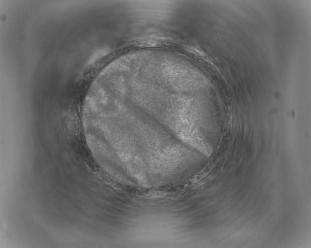 X0000074041446200609111727