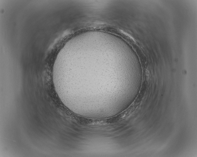 X0000074041447200609111727