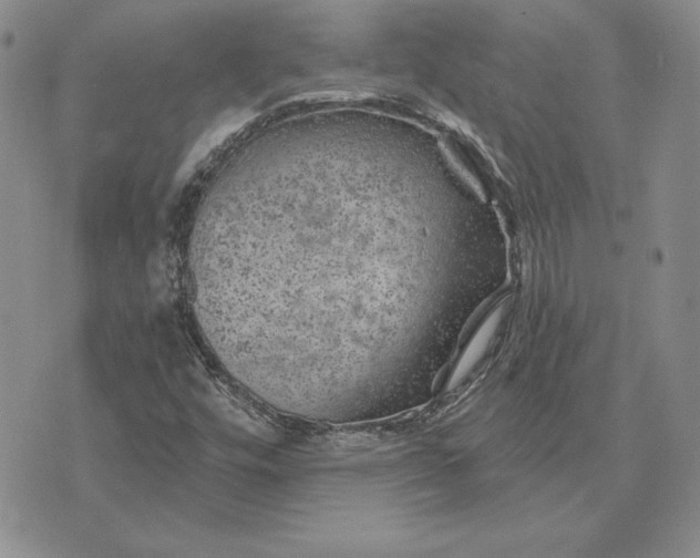 X0000074041448200609111727